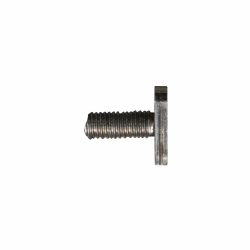 Hammer head screw