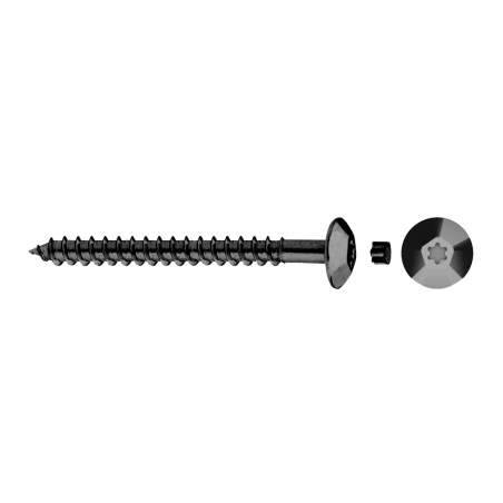 Tamper proof screw  TIC