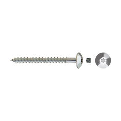 Tamper proof screw  TIC
