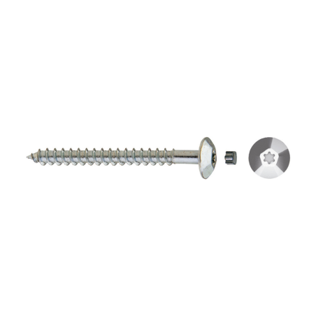 Tamper proof screw  TIC