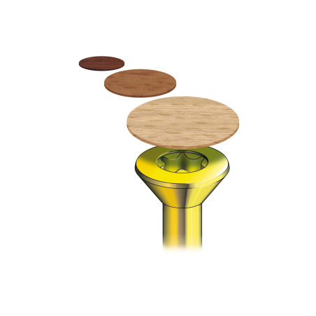 Application image of self-adhesive PVC cover Magic Tap MT: Graphic shows screw head with different coloured Magic Taps